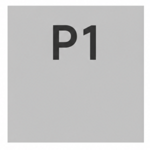Bambu Lab P1