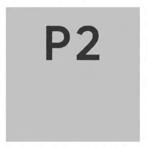 Bambu Lab P2