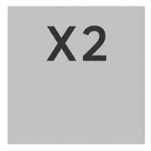 Bambu Lab X2